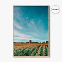 Iowa Fine Art Photo Print, Cornfield Silo Wall Decor Poster, Midwest USA
