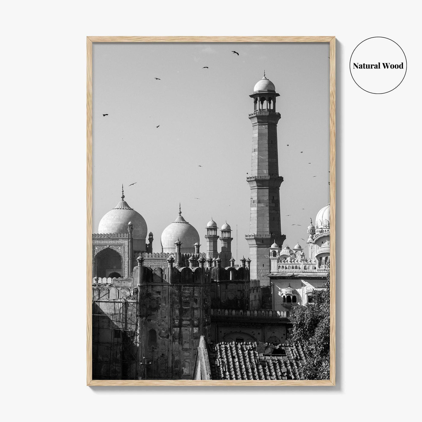 Lahore Black and White Fine Art Photo Print, Badshahi Mosque, Pakistan Wall Decor Poster