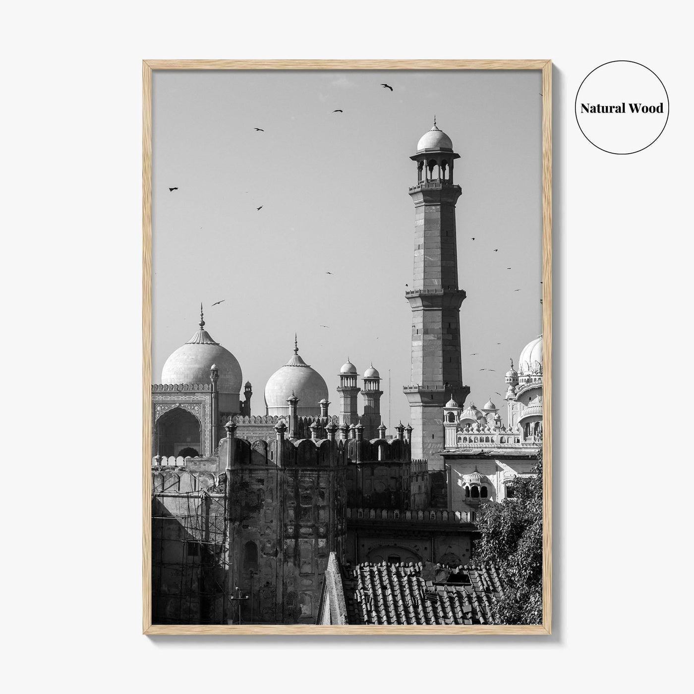 Lahore Black and White Fine Art Photo Print, Badshahi Mosque, Pakistan Wall Decor Poster