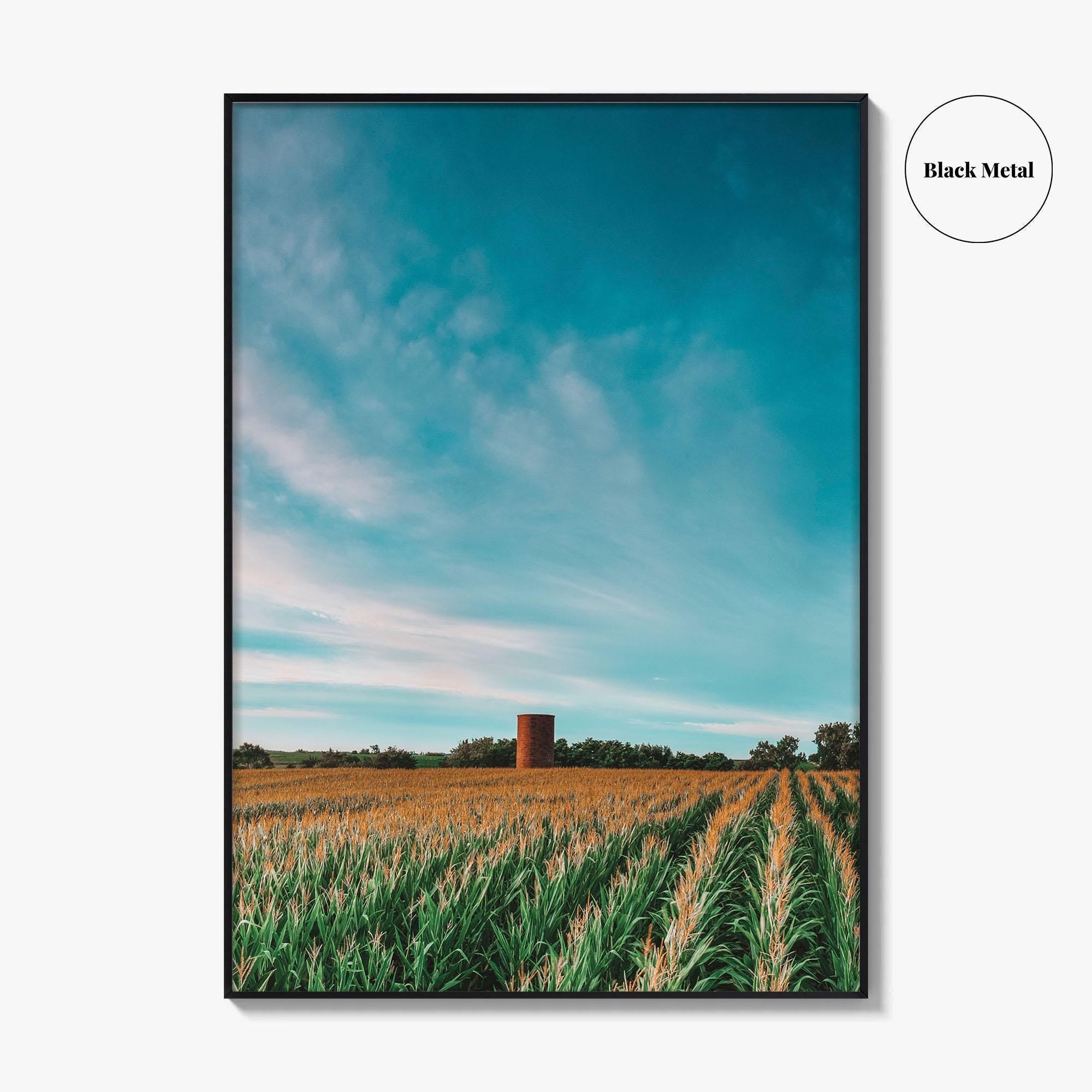 Iowa Fine Art Photo Print, Cornfield Silo Wall Decor Poster, Midwest USA