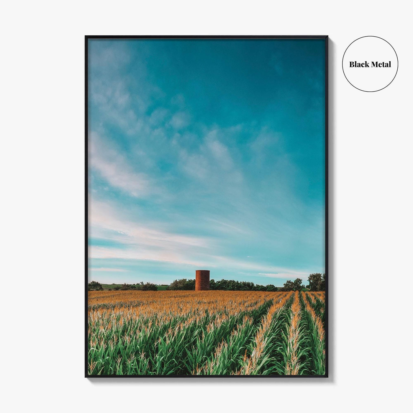 Iowa Fine Art Photo Print, Cornfield Silo Wall Decor Poster, Midwest USA
