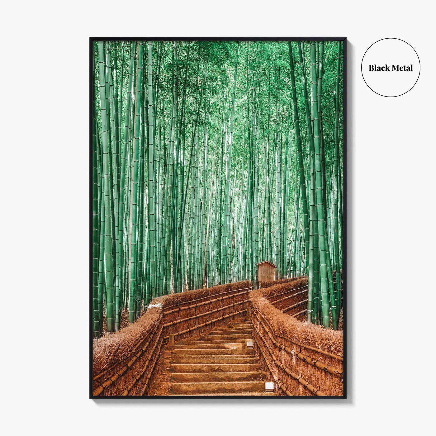 Kyoto, Japan Fine Art Photo Print, Arashiyama Bamboo Forest, Wall Decor Poster