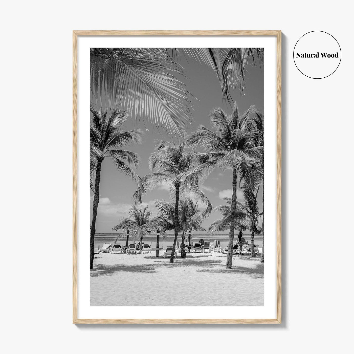 Aruba Black and White Fine Art Photo Print, Palm Beach Caribbean Poster, Island