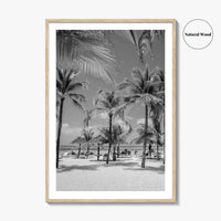 Aruba Black and White Fine Art Photo Print, Palm Beach Caribbean Poster, Island