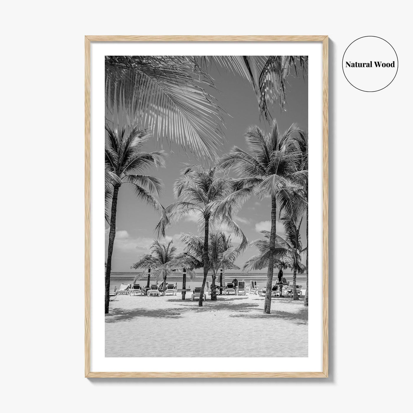 Aruba Black and White Fine Art Photo Print, Palm Beach Caribbean Poster, Island