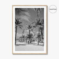 Aruba Black and White Fine Art Photo Print, Palm Beach Caribbean Poster, Island