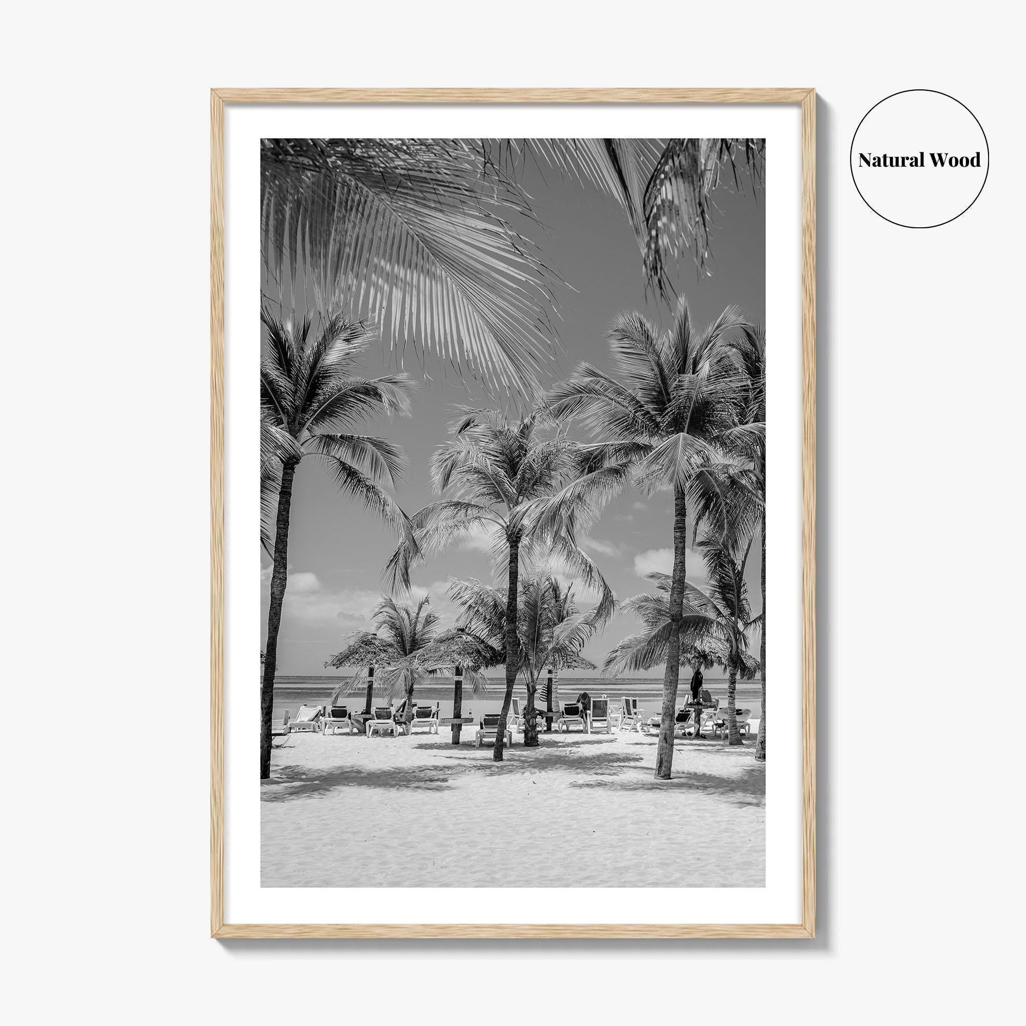 Aruba Black and White Fine Art Photo Print, Palm Beach Caribbean Poster, Island