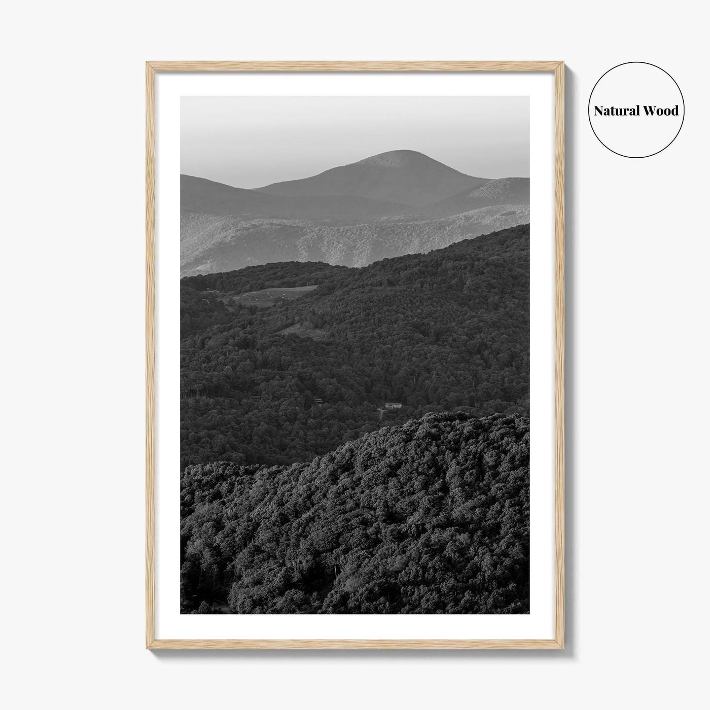 Blue Ridge Black and White Fine Art Photo Print, North Carolina, Appalachia Poster
