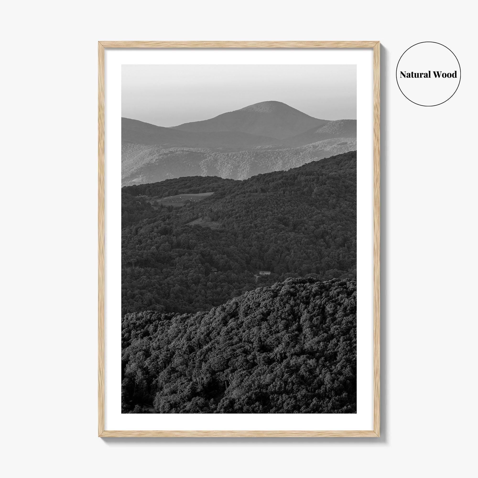 Blue Ridge Black and White Fine Art Photo Print, North Carolina, Appalachia Poster