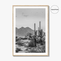 Four Peaks Arizona Skyline Black and White Fine Art Photo Print, Phoenix, Wall Poster