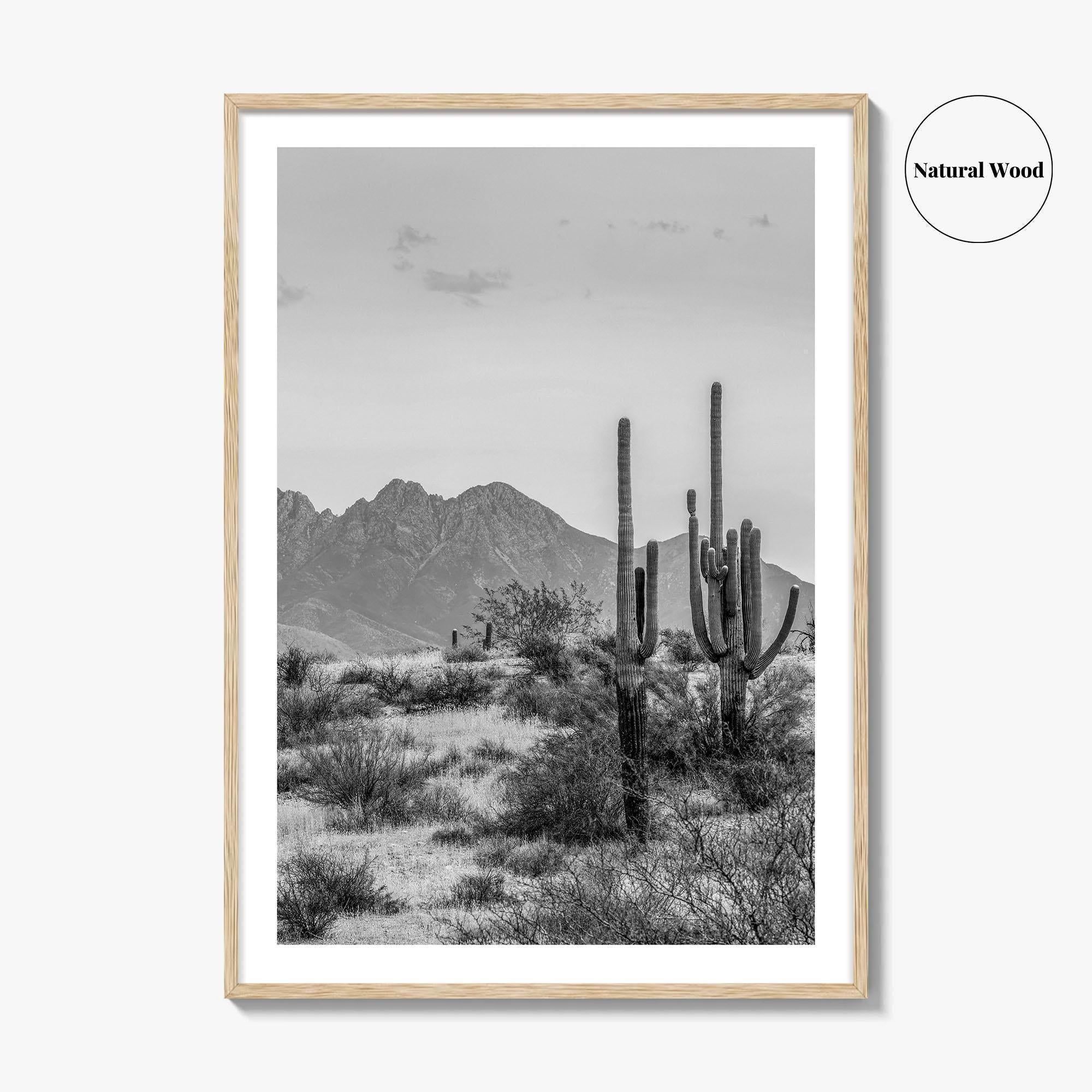 Four Peaks Arizona Skyline Black and White Fine Art Photo Print, Phoenix, Wall Poster