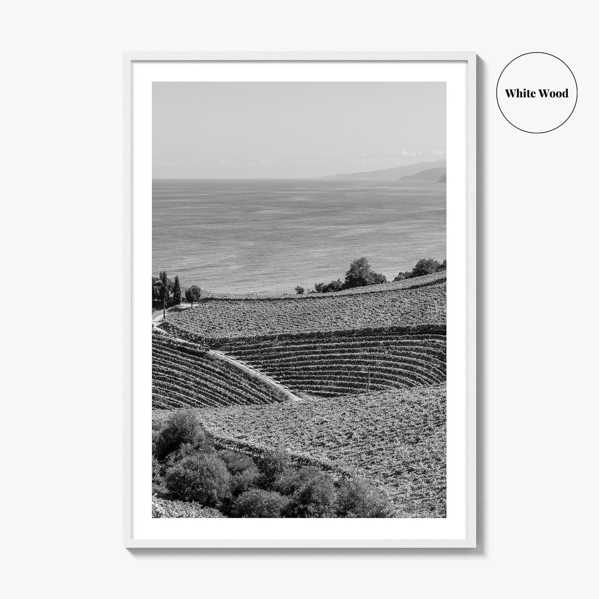 Getaria Black and White Fine Art Photo Print, Basque Country Spain, Vineyard Wall Art