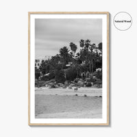 Los Barriles Black and White Fine Art Photo Print, Baja California Sur Poster