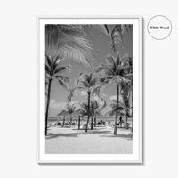 Aruba Black and White Fine Art Photo Print, Palm Beach Caribbean Poster, Island
