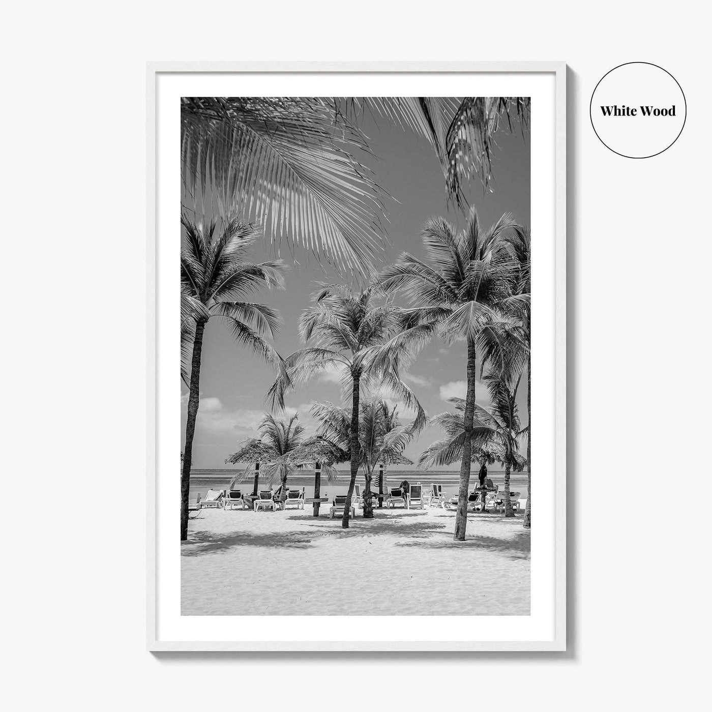 Aruba Black and White Fine Art Photo Print, Palm Beach Caribbean Poster, Island