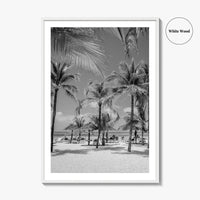 Aruba Black and White Fine Art Photo Print, Palm Beach Caribbean Poster, Island