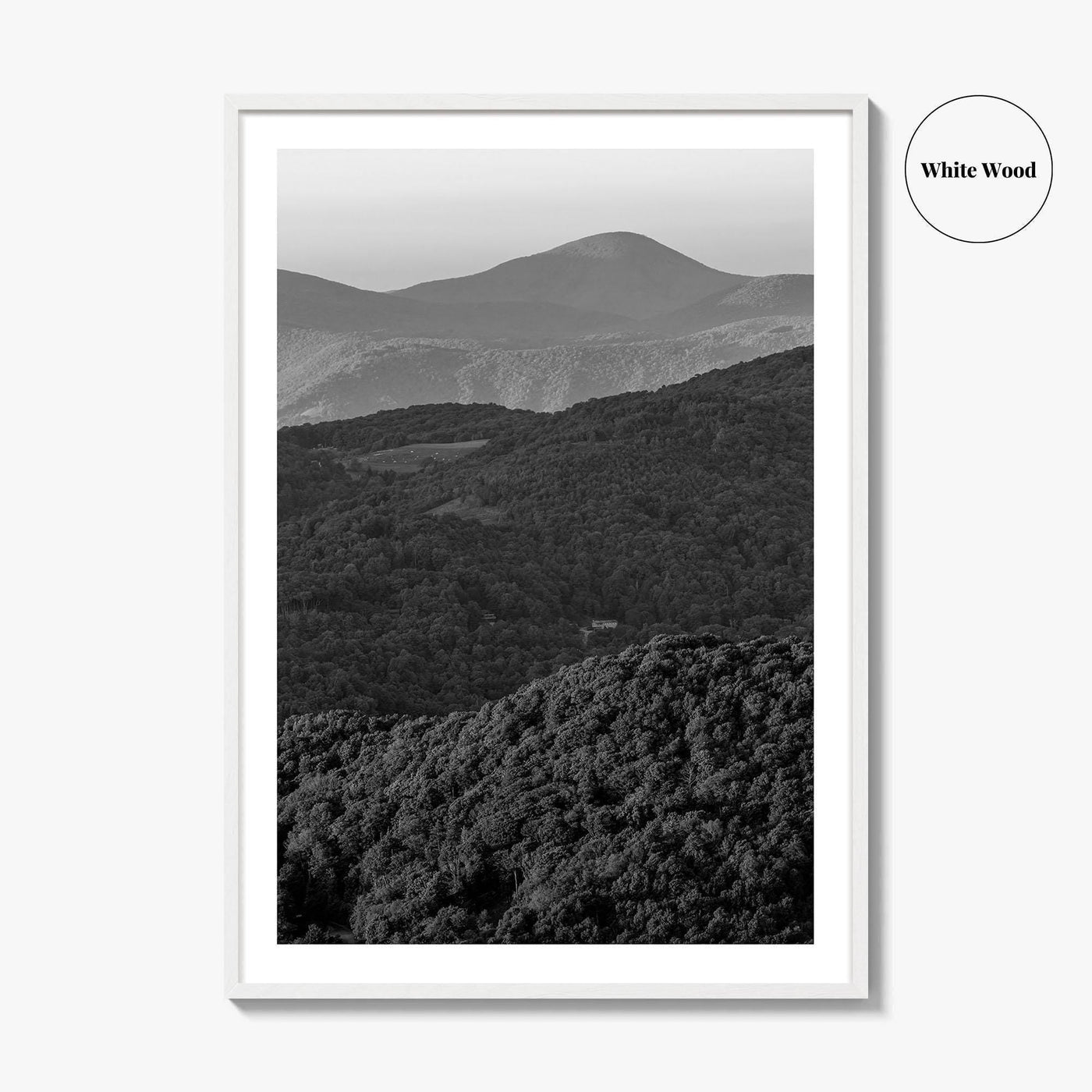 Blue Ridge Black and White Fine Art Photo Print, North Carolina, Appalachia Poster