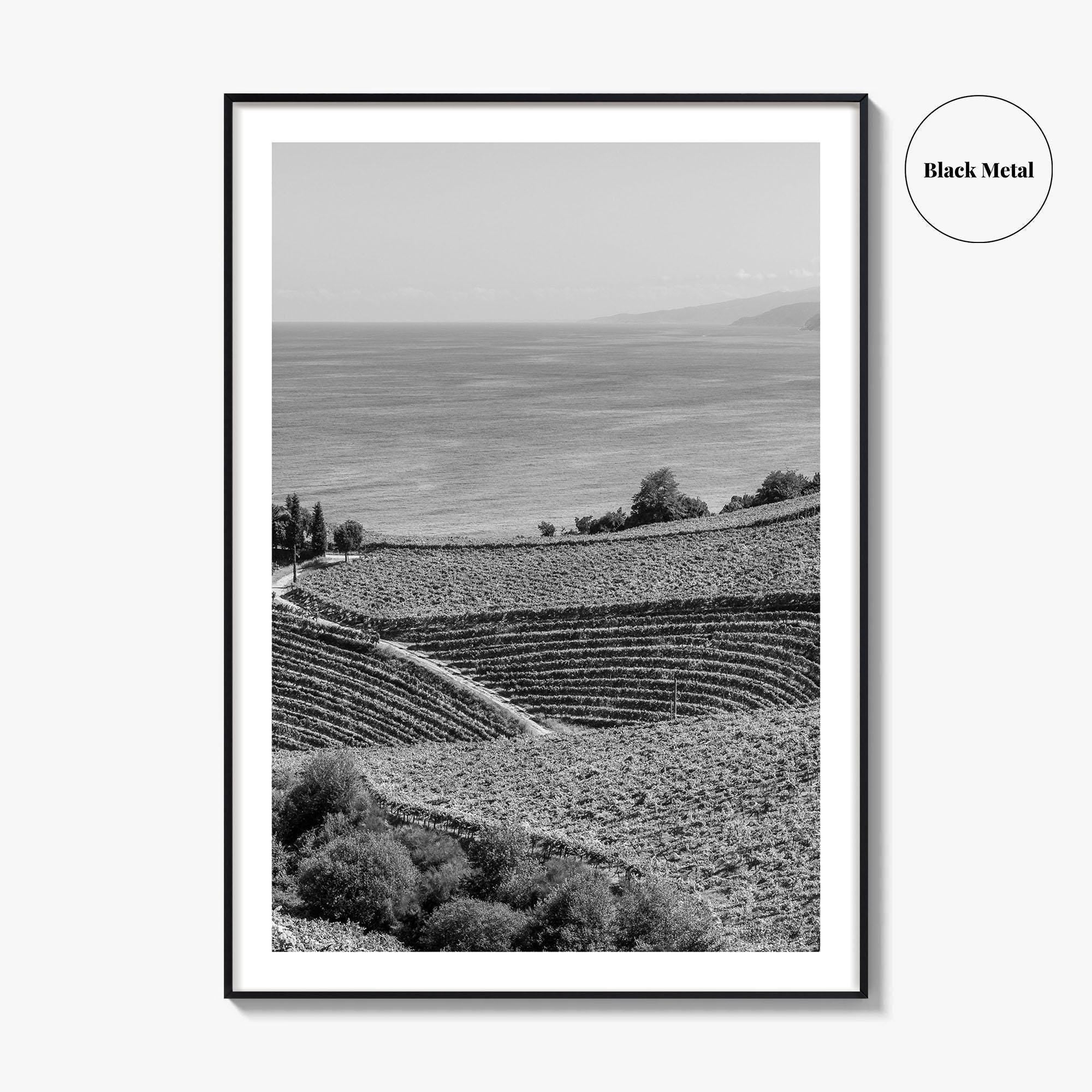 Getaria Black and White Fine Art Photo Print, Basque Country Spain, Vineyard Wall Art