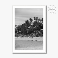 Los Barriles Black and White Fine Art Photo Print, Baja California Sur Poster