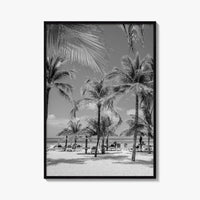 Aruba Black and White Fine Art Photo Print, Palm Beach Caribbean Poster, Island
