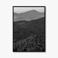 Blue Ridge Black and White Fine Art Photo Print, North Carolina, Appalachia Poster