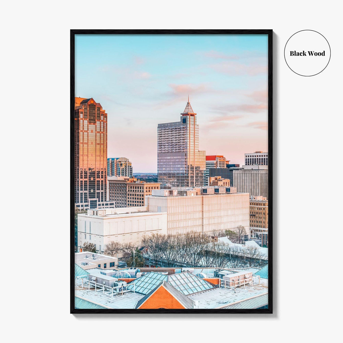 Raleigh Skyline Fine Art Photo Print, NC Wall Art Poster, North Carolina USA