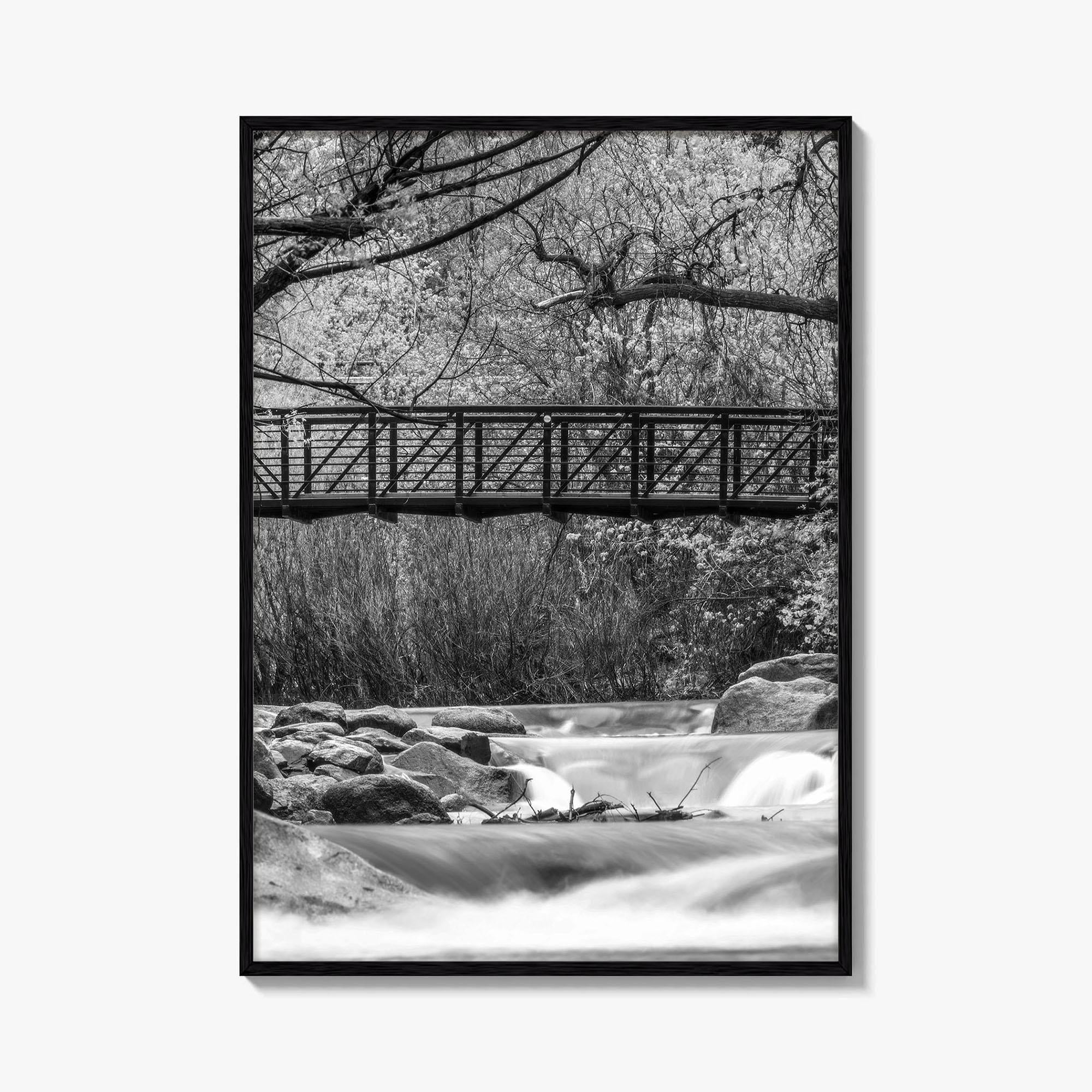 Boulder Creek Black and White Fine Art Photo Print, Colorado USA Poster