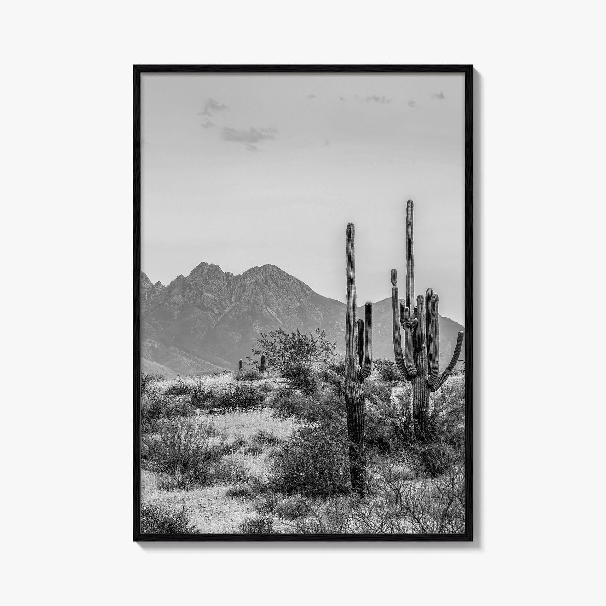 Four Peaks Arizona Skyline Black and White Fine Art Photo Print, Phoenix, Wall Poster