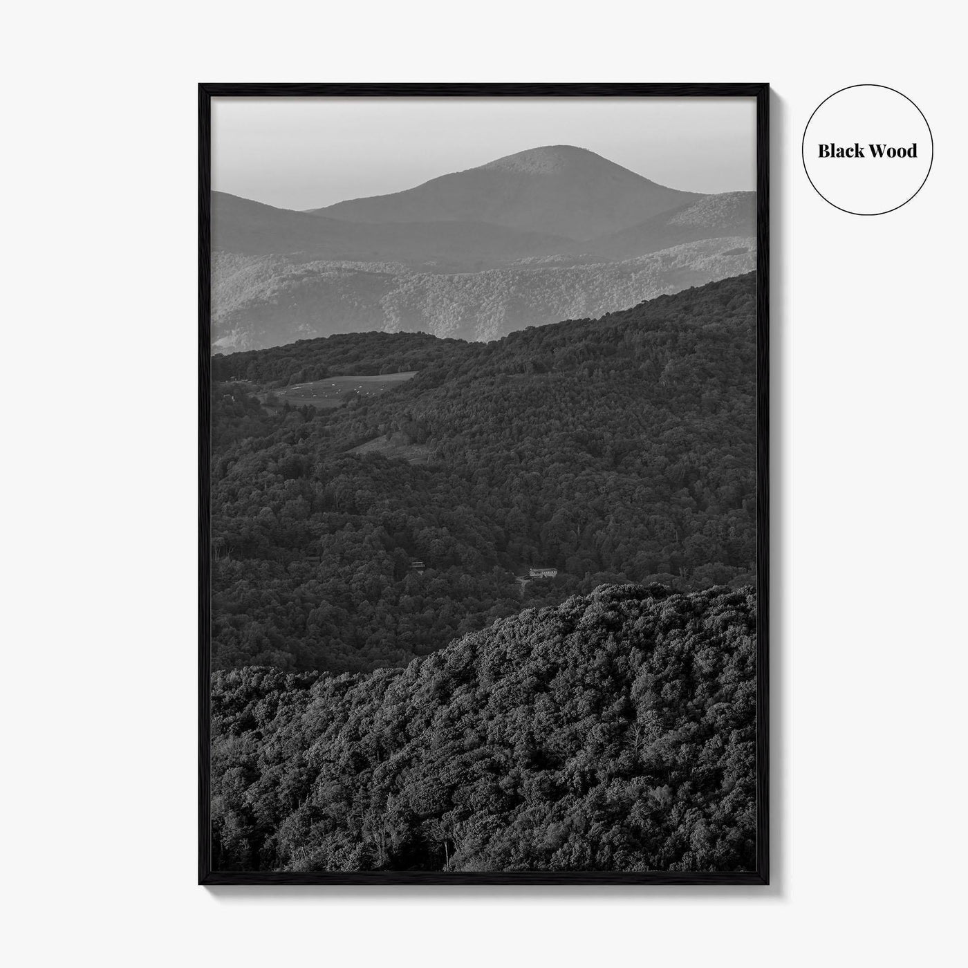 Blue Ridge Black and White Fine Art Photo Print, North Carolina, Appalachia Poster