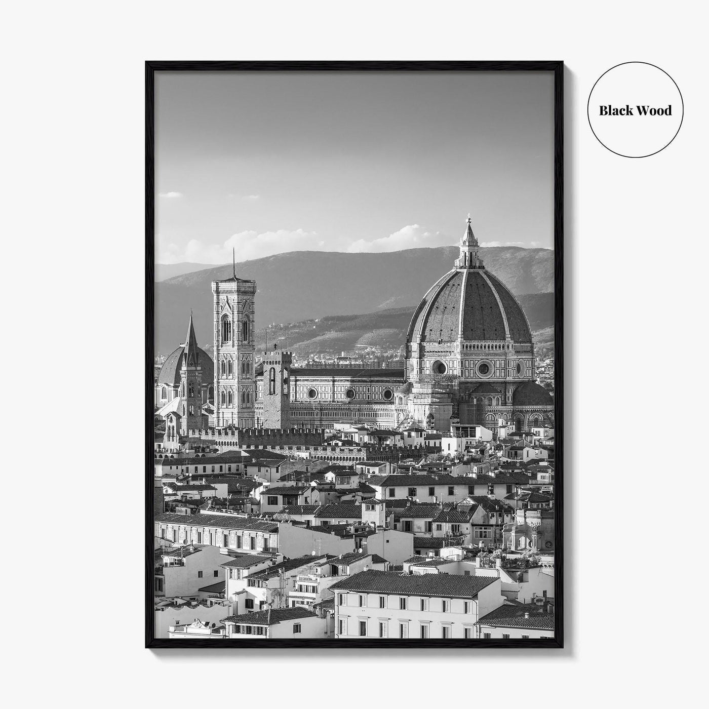 Florence Black and White Fine Art Photo Print, Firenze Duomo, Tuscany Italy Wall Poster