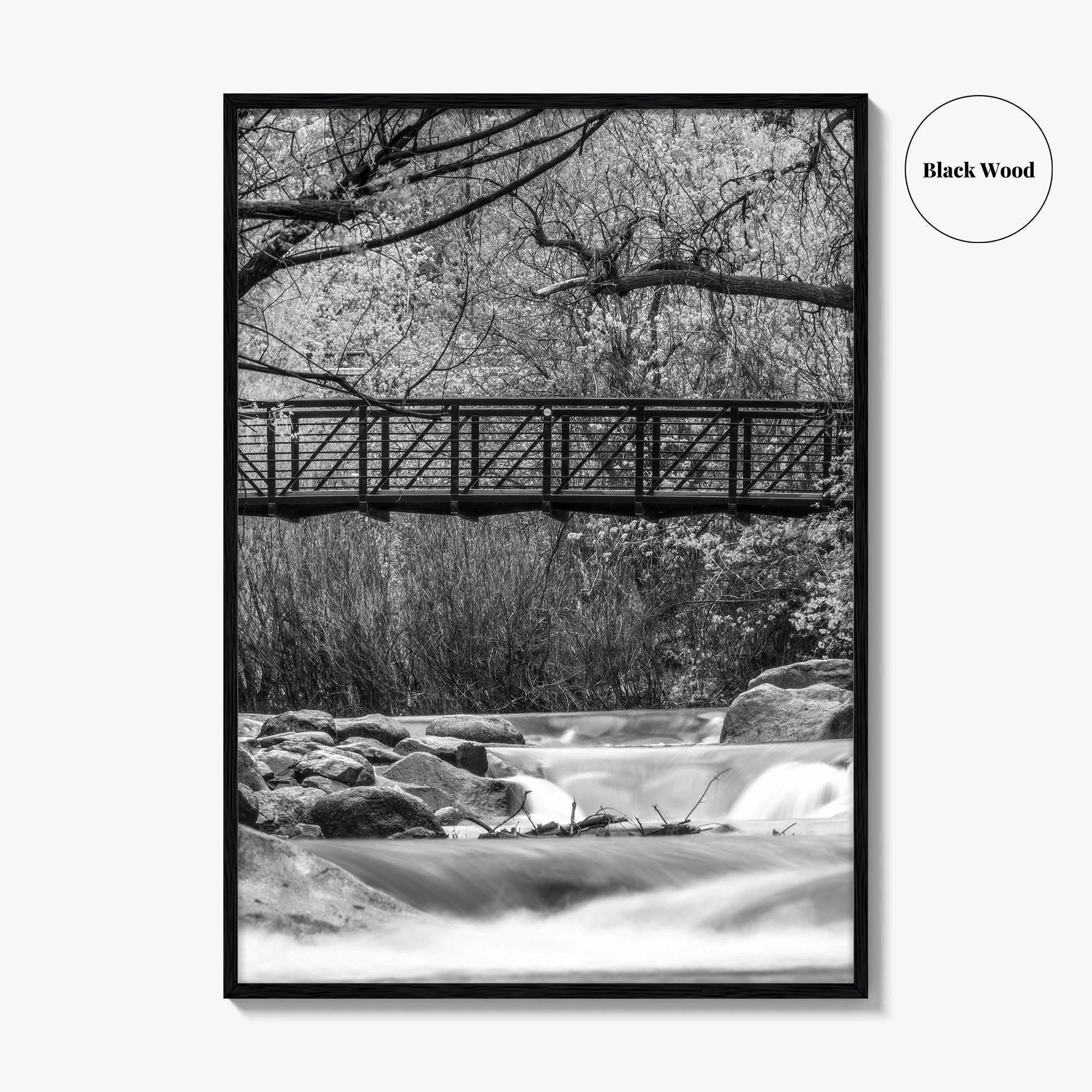 Boulder Creek Black and White Fine Art Photo Print, Colorado USA Poster