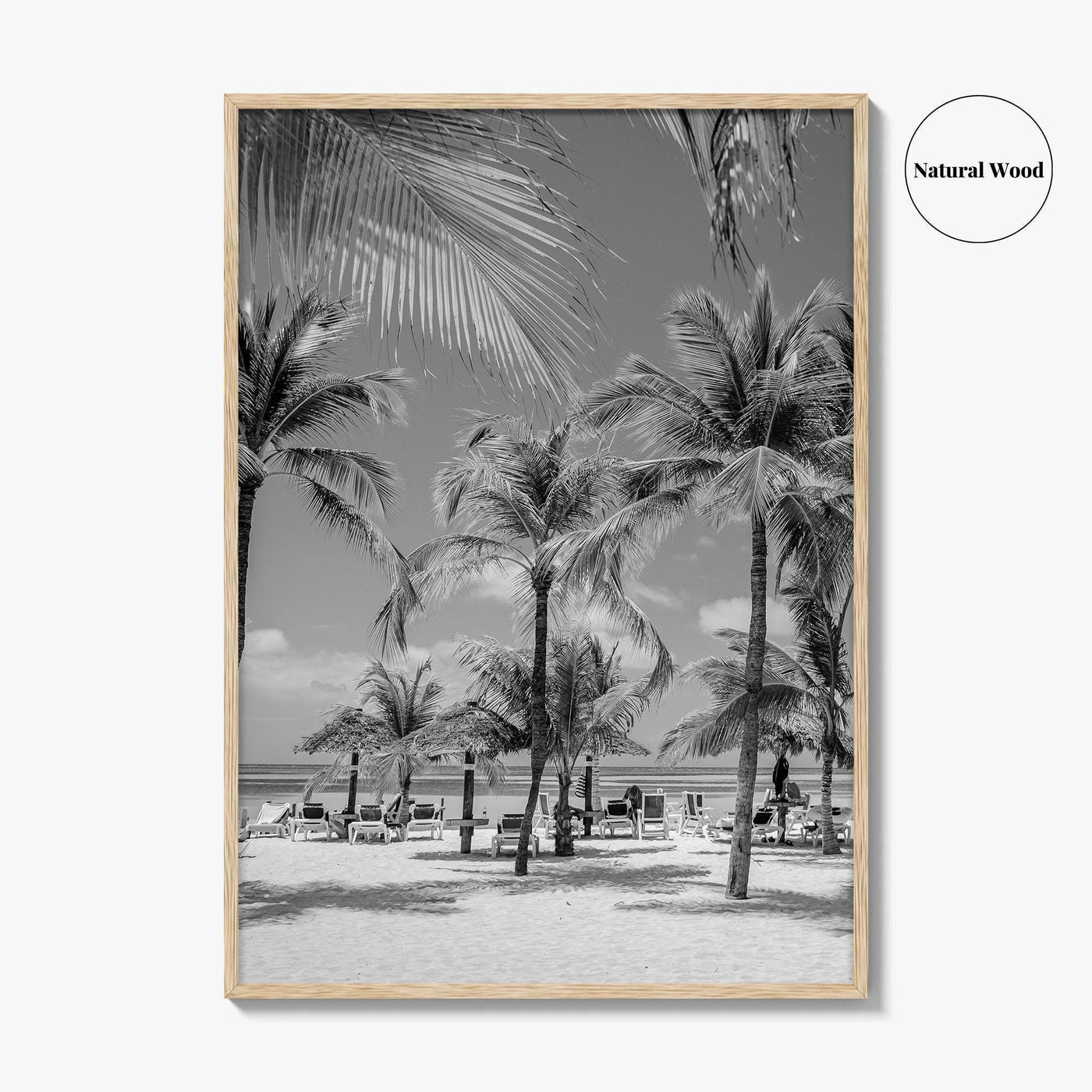 Aruba Black and White Fine Art Photo Print, Palm Beach Caribbean Poster, Island