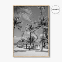 Aruba Black and White Fine Art Photo Print, Palm Beach Caribbean Poster, Island