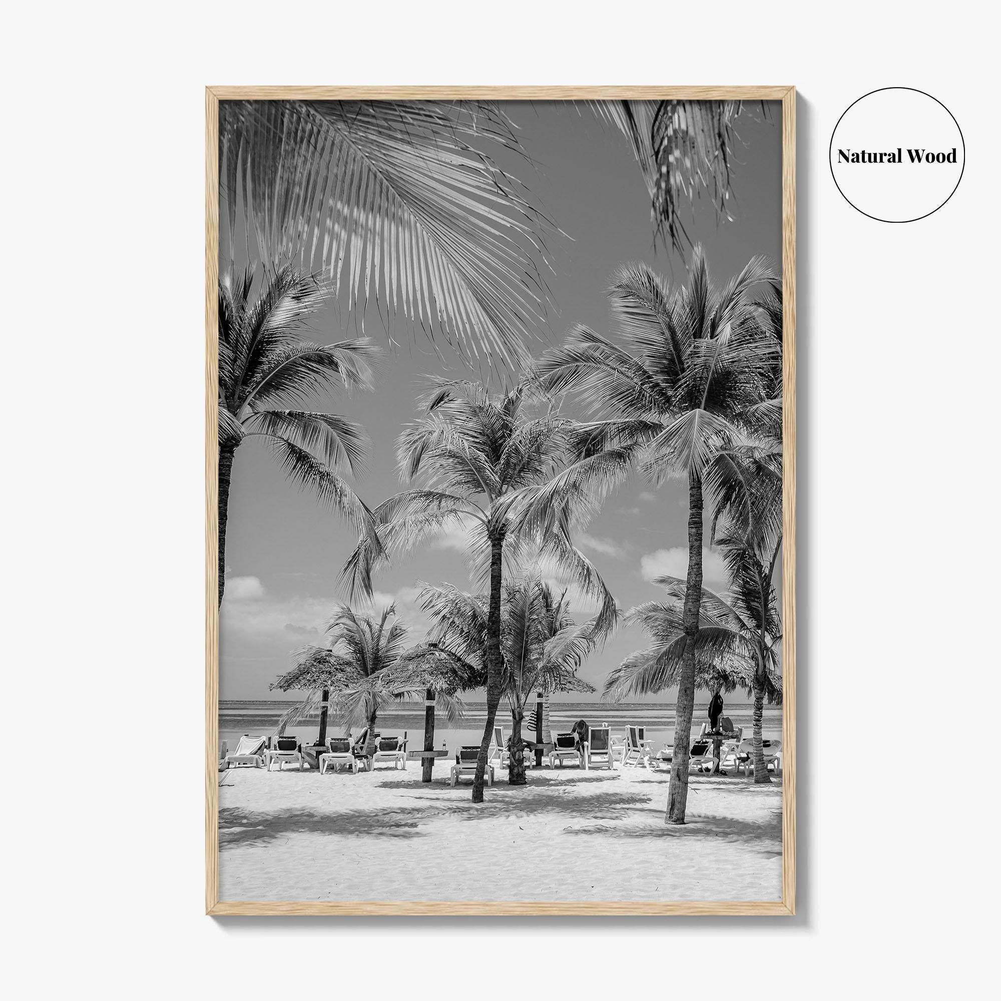 Aruba Black and White Fine Art Photo Print, Palm Beach Caribbean Poster, Island