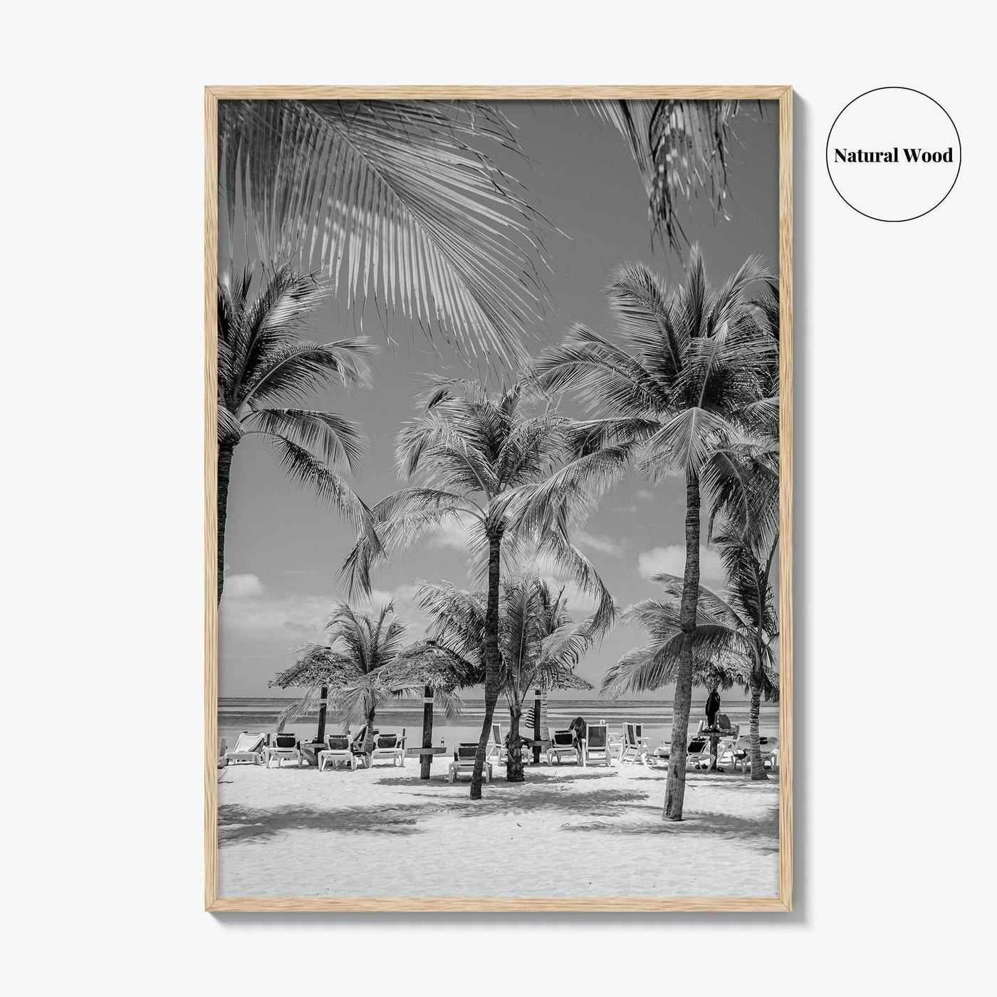 Aruba Black and White Fine Art Photo Print, Palm Beach Caribbean Poster, Island