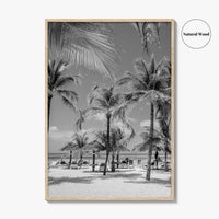 Aruba Black and White Fine Art Photo Print, Palm Beach Caribbean Poster, Island
