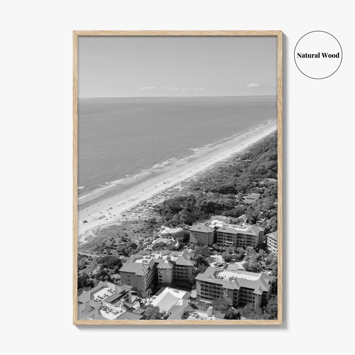 Hilton Head Island Black and White Fine Art Photo Print, Coligny South Carolina Poster