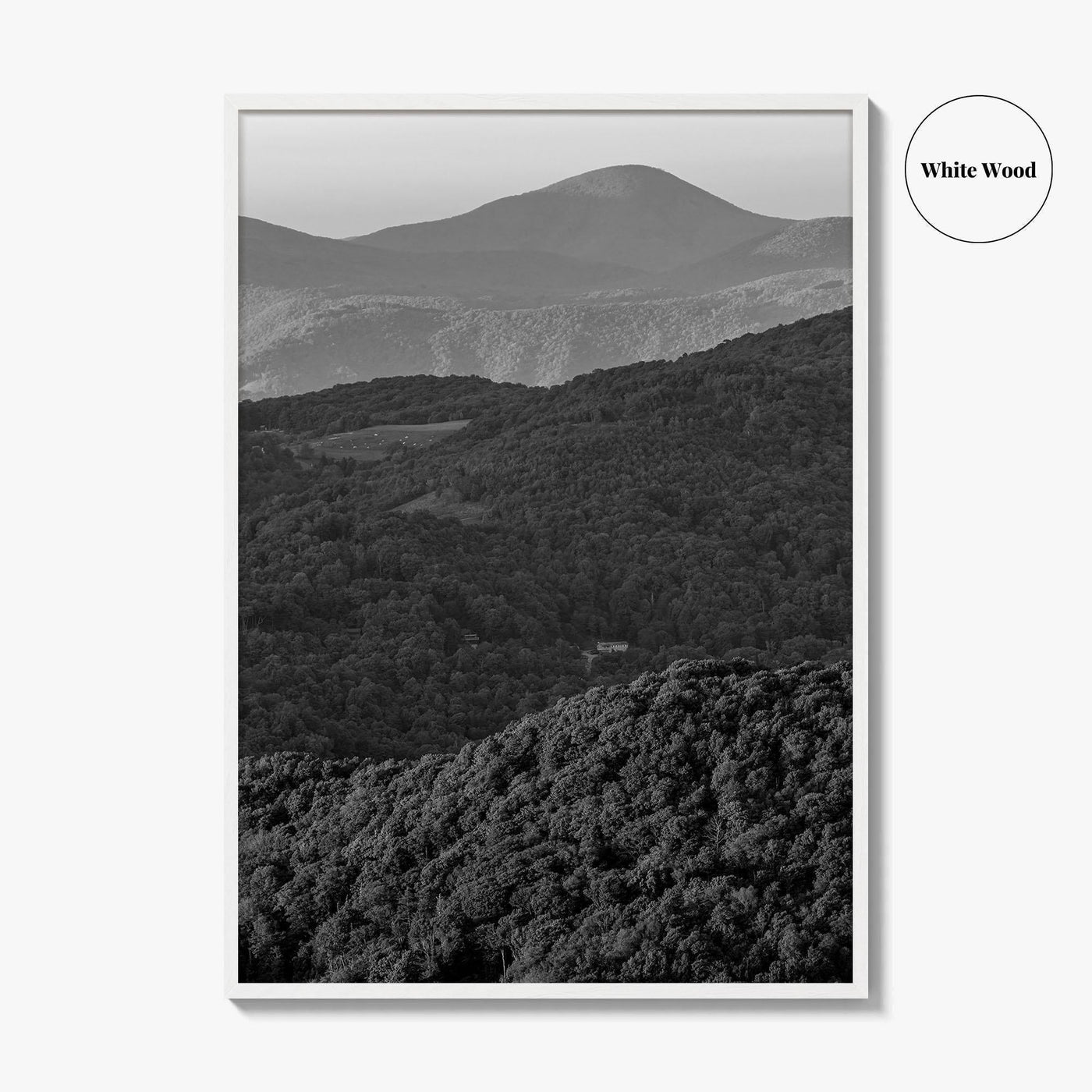 Blue Ridge Black and White Fine Art Photo Print, North Carolina, Appalachia Poster