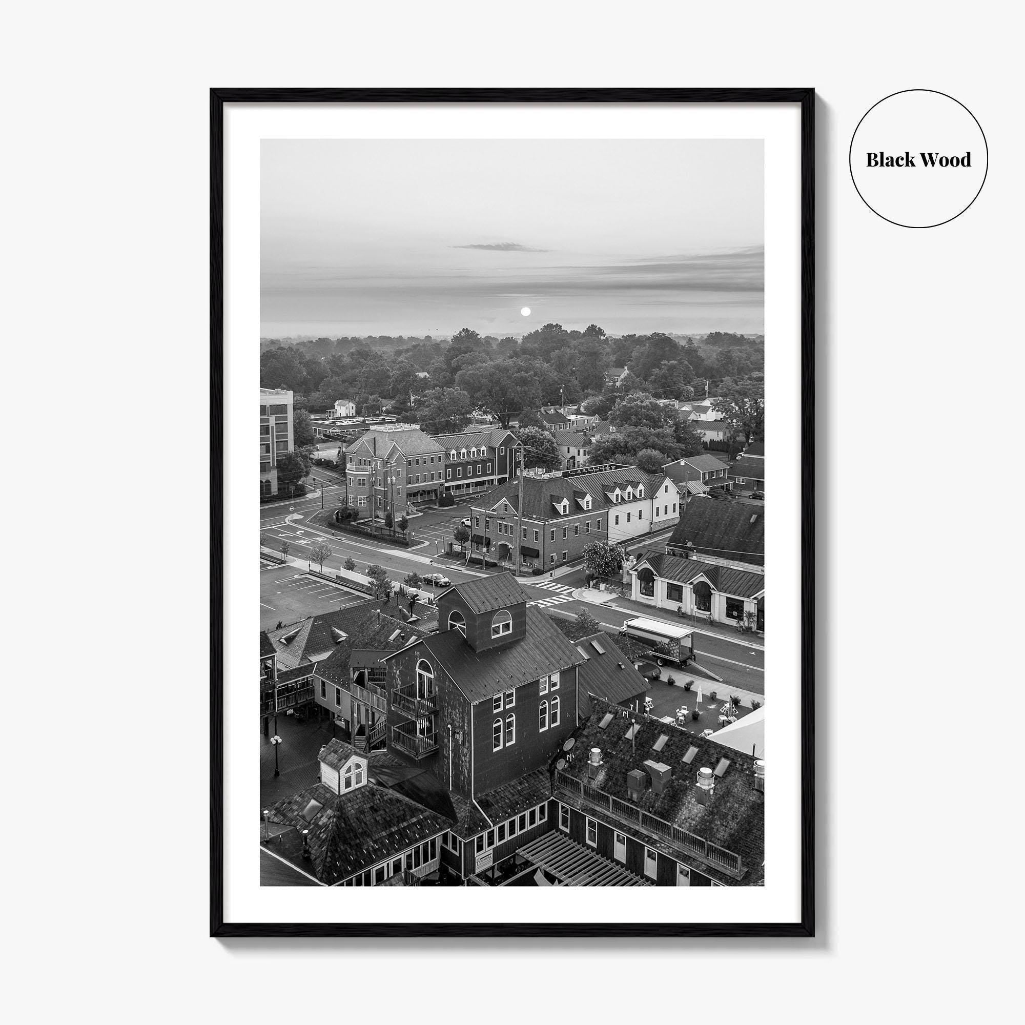Leesburg Black and White Fine Art Photo Print, Market Station Aerial, Loudoun County Virginia