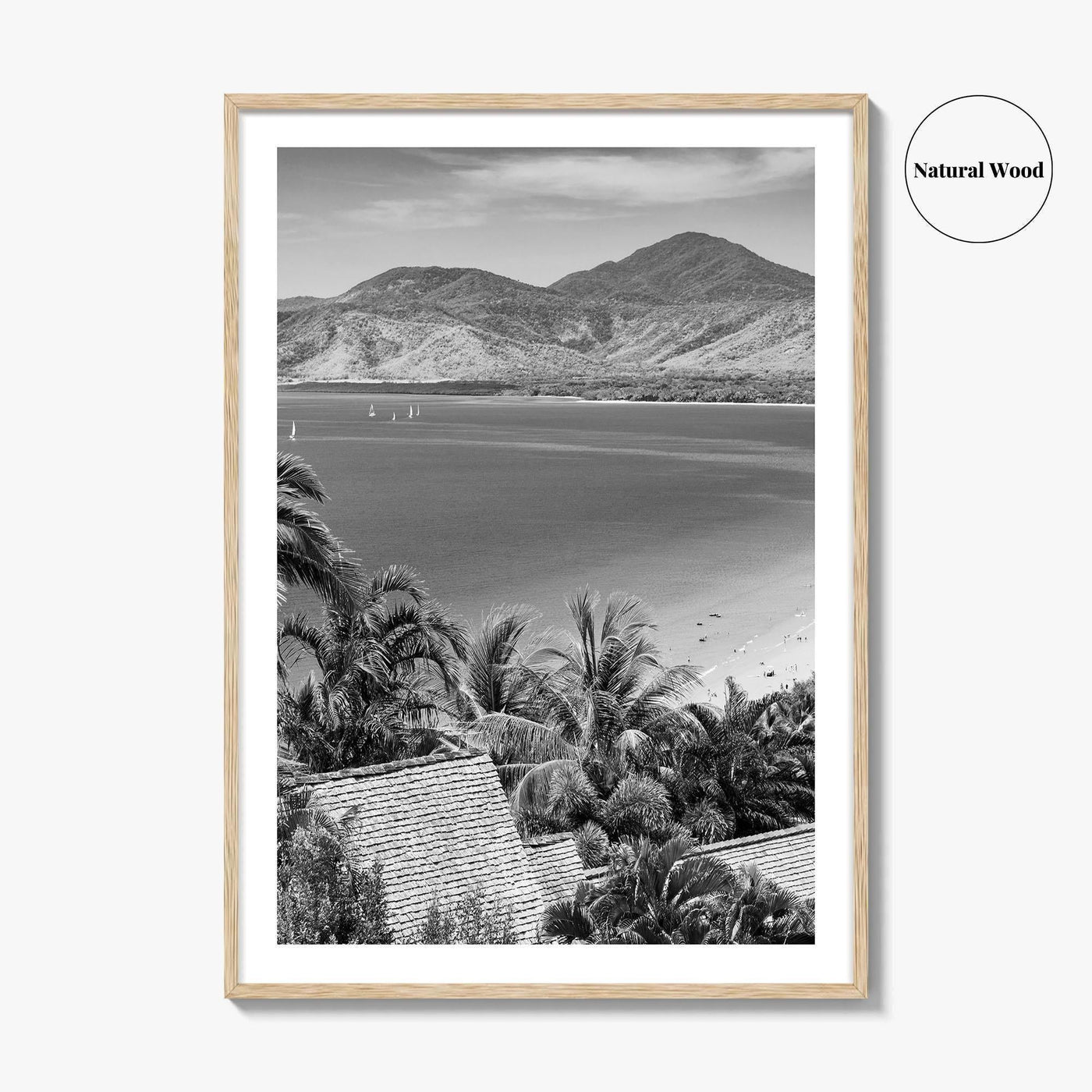 Great Barrier Reef Black and White Fine Art Photo Print, Port Douglas Poster