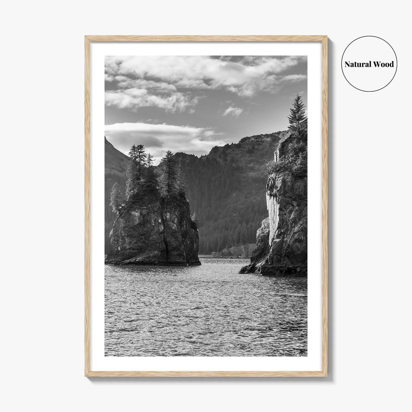 Kenai Fjords National Park Black and White Fine Art Photo Print, Seward Alaska Poster