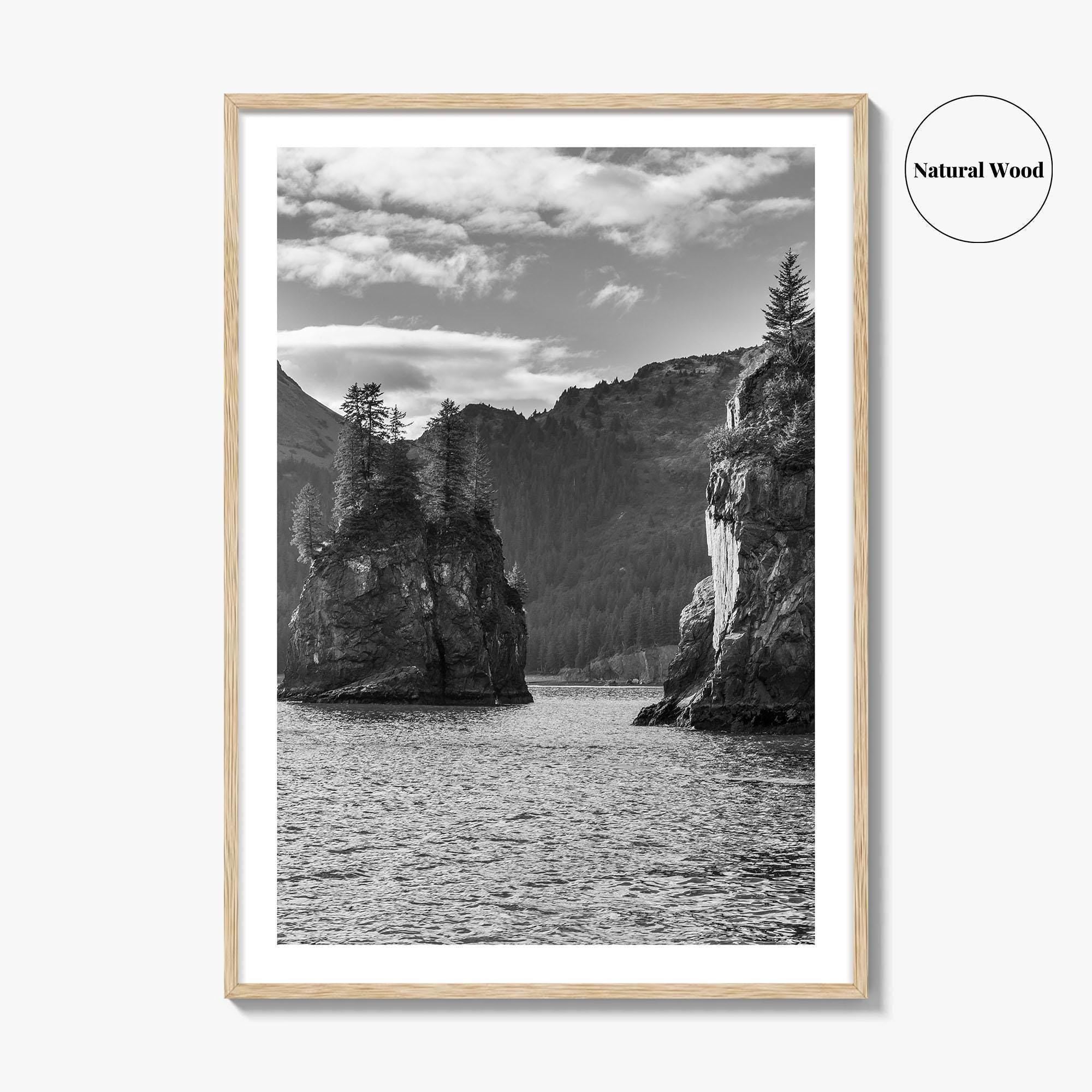 Kenai Fjords National Park Black and White Fine Art Photo Print, Seward Alaska Poster
