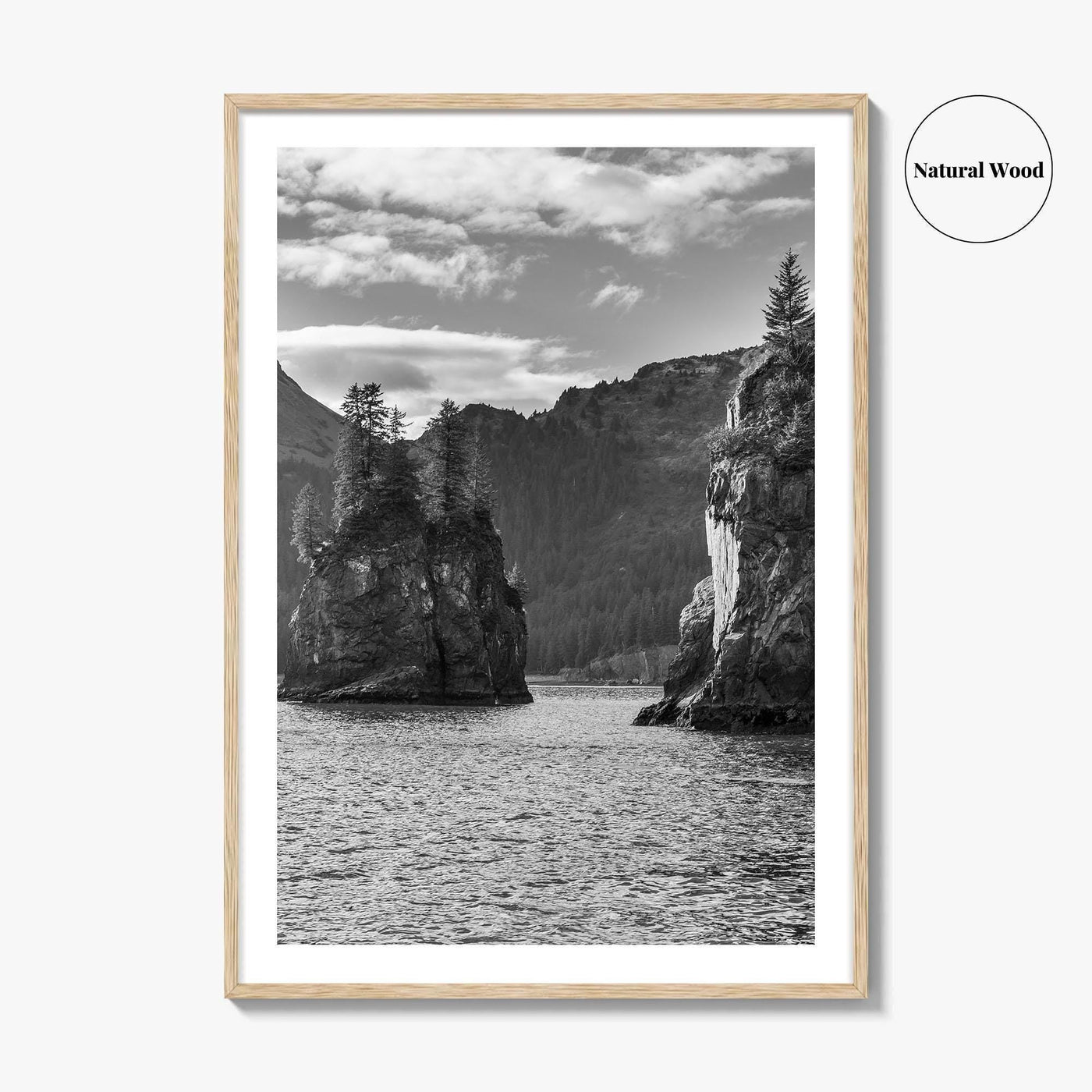 Kenai Fjords National Park Black and White Fine Art Photo Print, Seward Alaska Poster