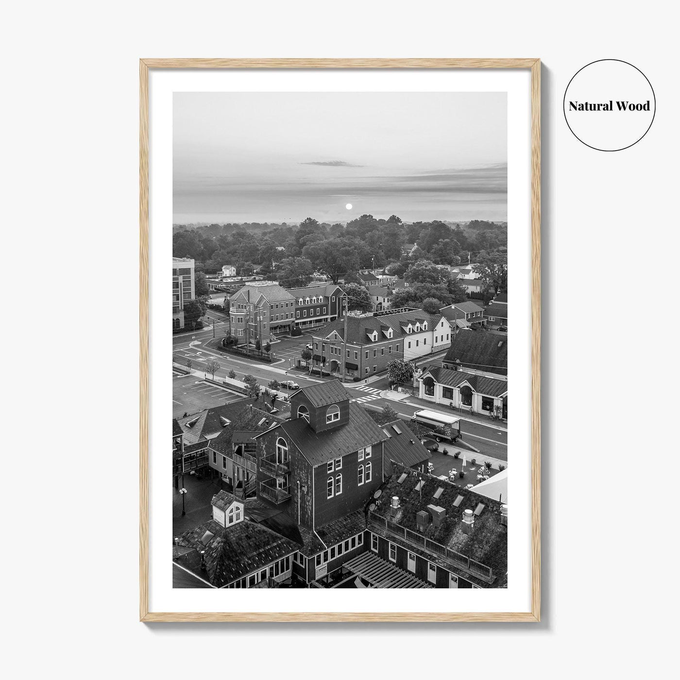 Leesburg Black and White Fine Art Photo Print, Market Station Aerial, Loudoun County Virginia