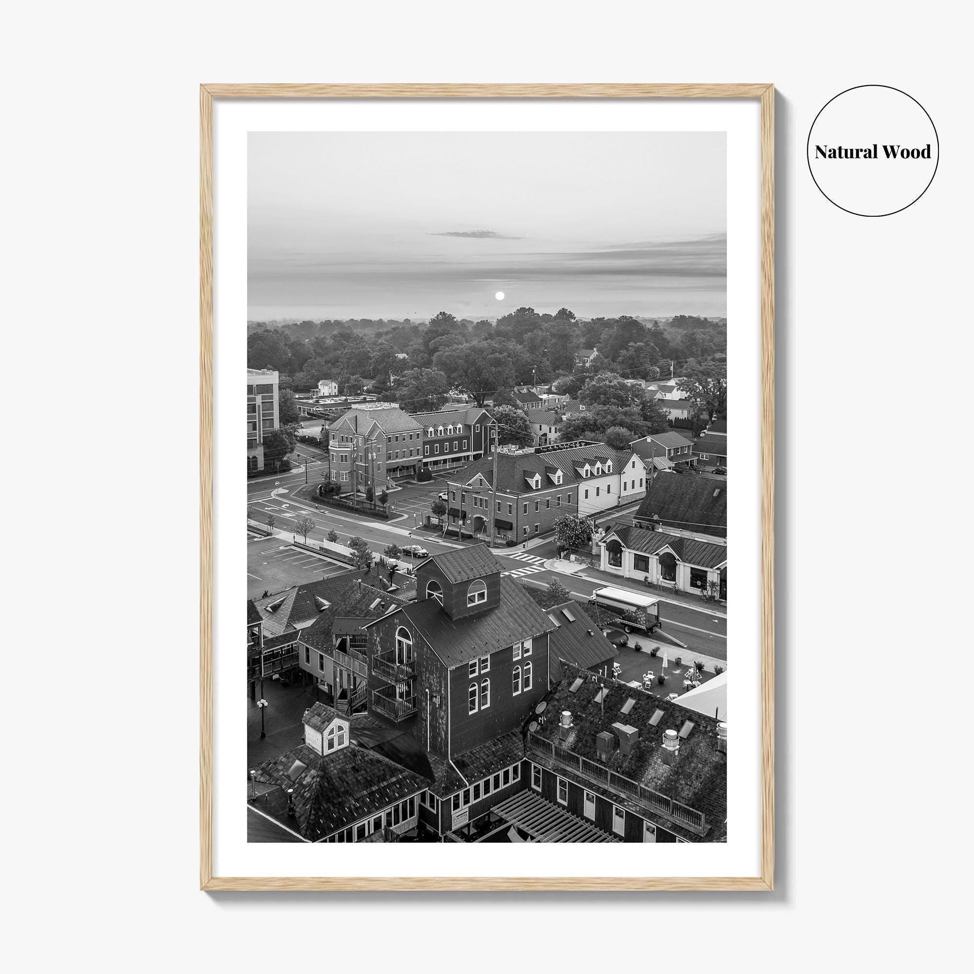 Leesburg Black and White Fine Art Photo Print, Market Station Aerial, Loudoun County Virginia