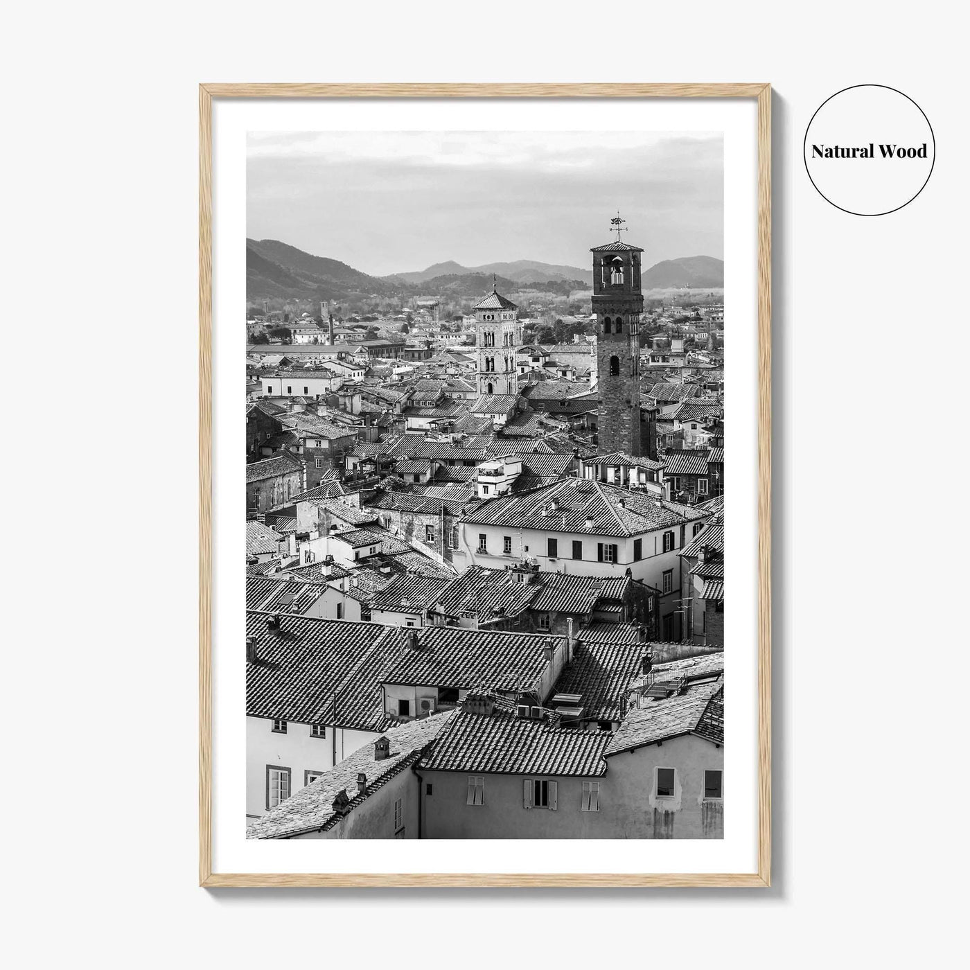 Lucca Black and White Fine Art Photo Print, Tuscany Italy Guinigi Tower View Poster