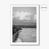 Encinitas Black and White Fine Art Photo Print, San Elijo Campground California Poster
