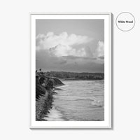 Encinitas Black and White Fine Art Photo Print, San Elijo Campground California Poster