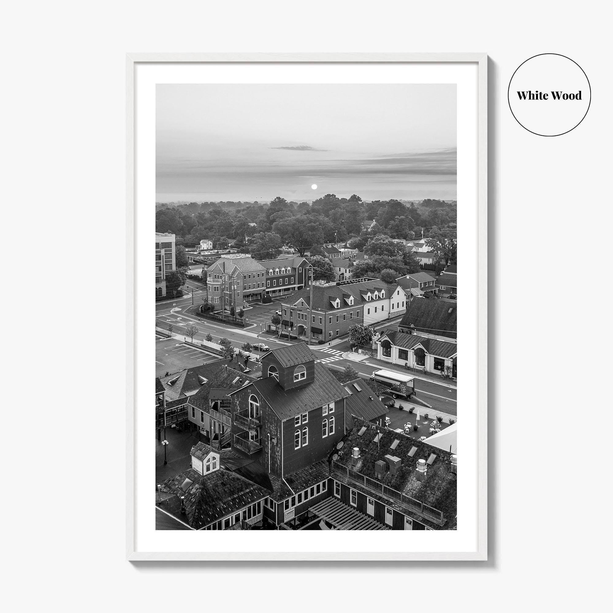 Leesburg Black and White Fine Art Photo Print, Market Station Aerial, Loudoun County Virginia