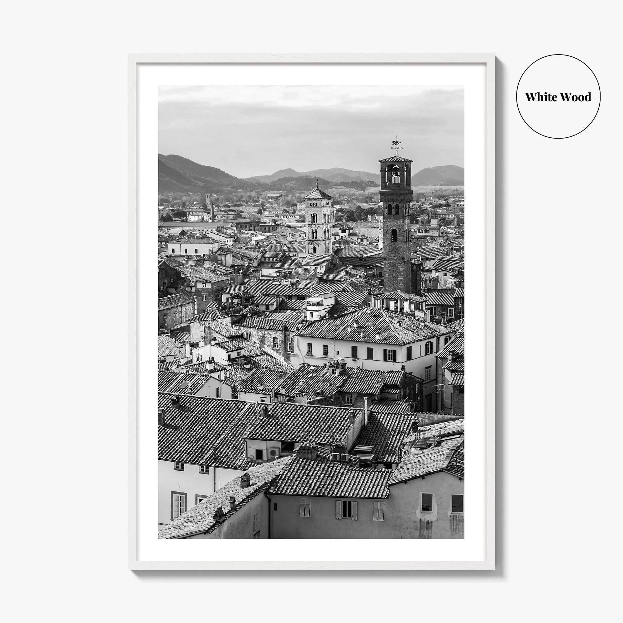 Lucca Black and White Fine Art Photo Print, Tuscany Italy Guinigi Tower View Poster